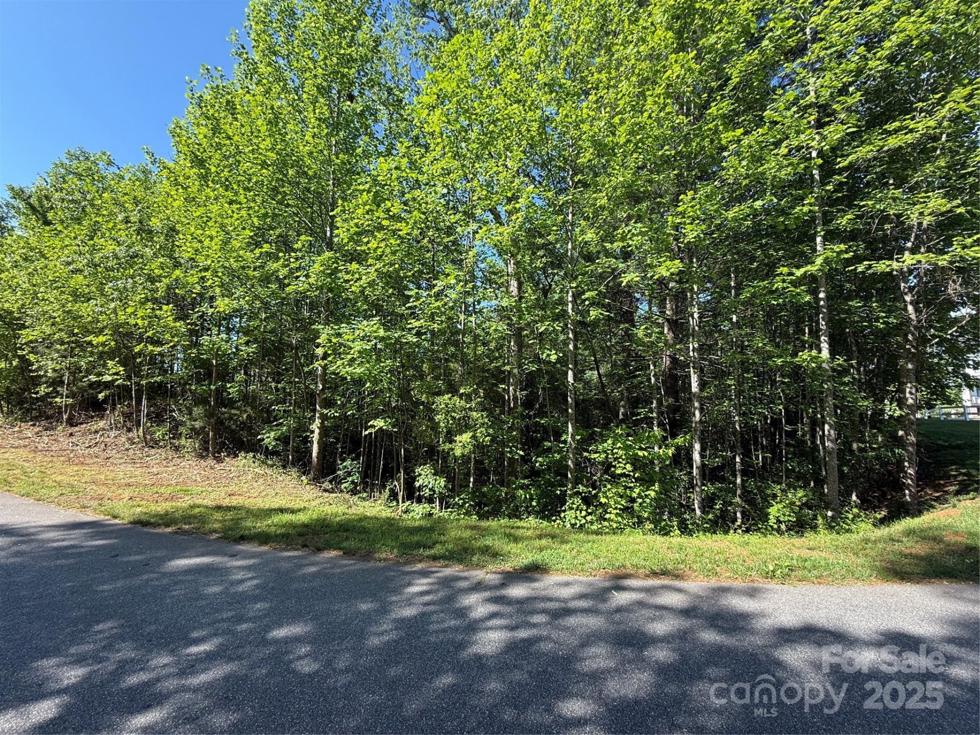 Property image 2 at Lot 280 Whitman Court, Taylorsville, NC 28681