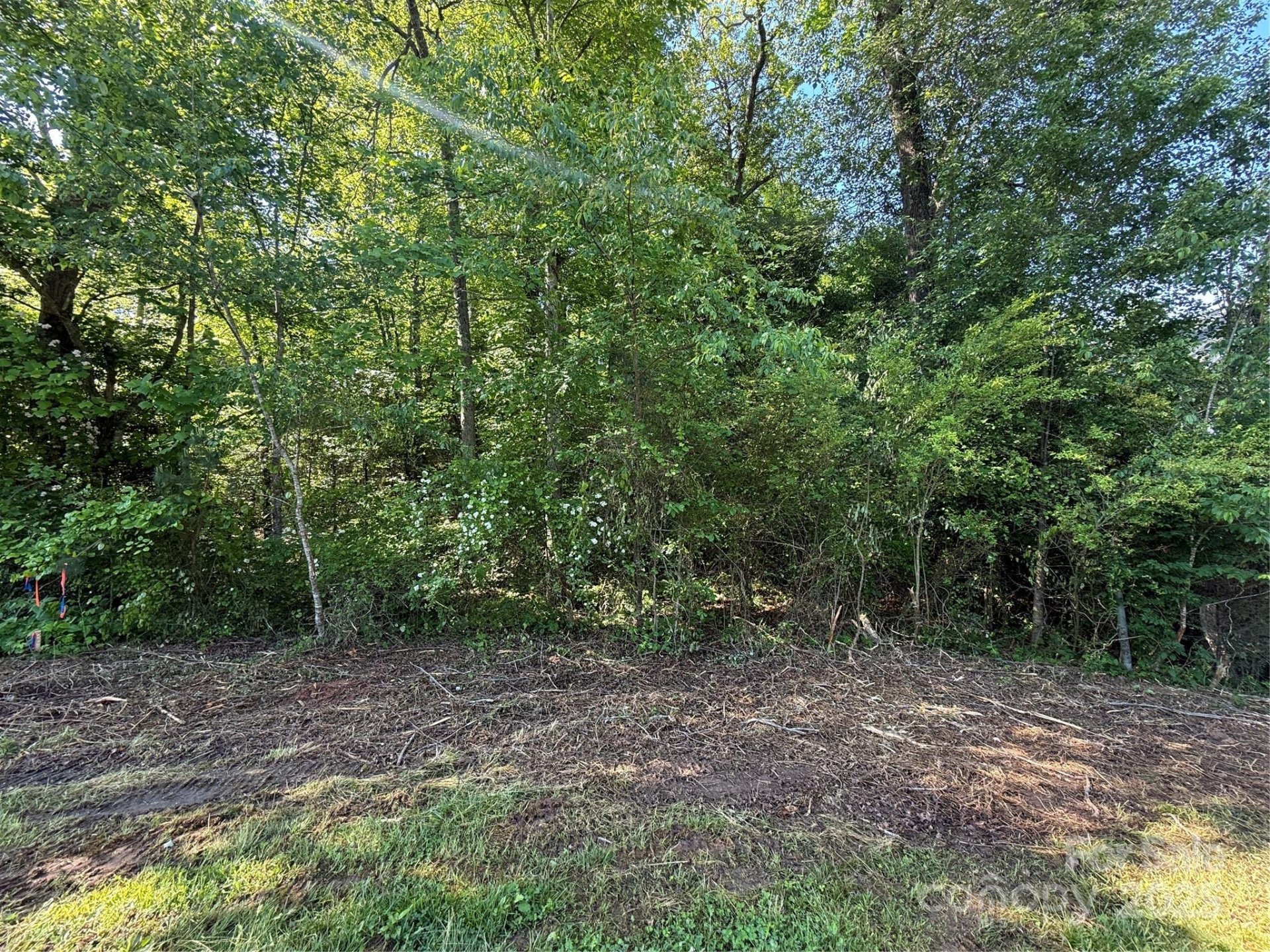 Property image 2 at Lot 52 Wittenburg Springs Drive, Taylorsville, NC 28681