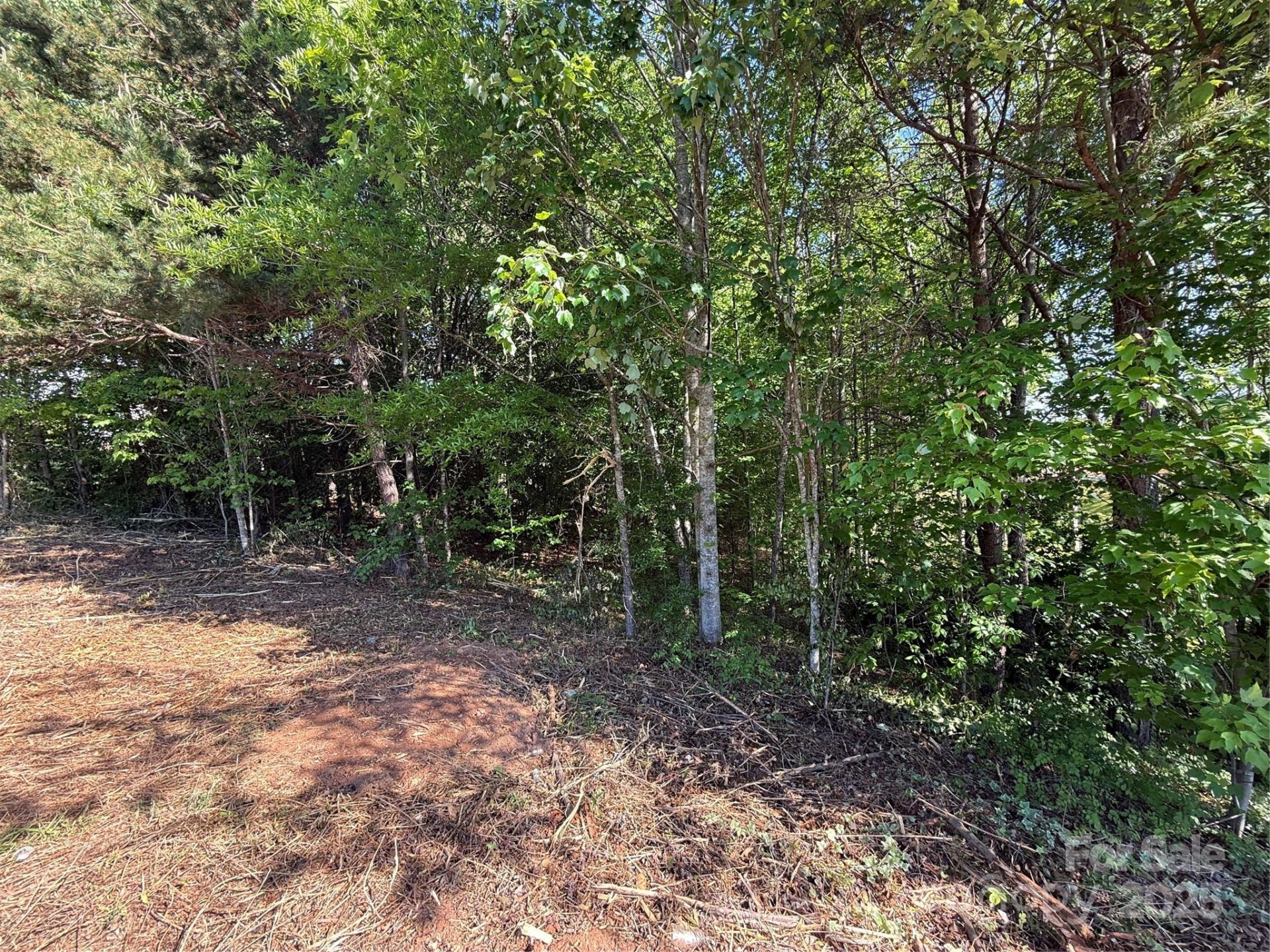 Property image 2 at Lot 12 Wittenburg Springs Drive, Taylorsville, NC 28681