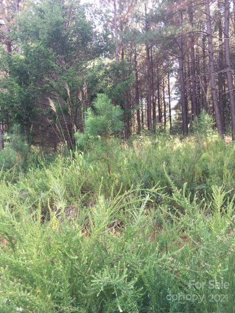 Property image 1 at 0 Moore Mountain Lane, Ellenboro, NC 28040