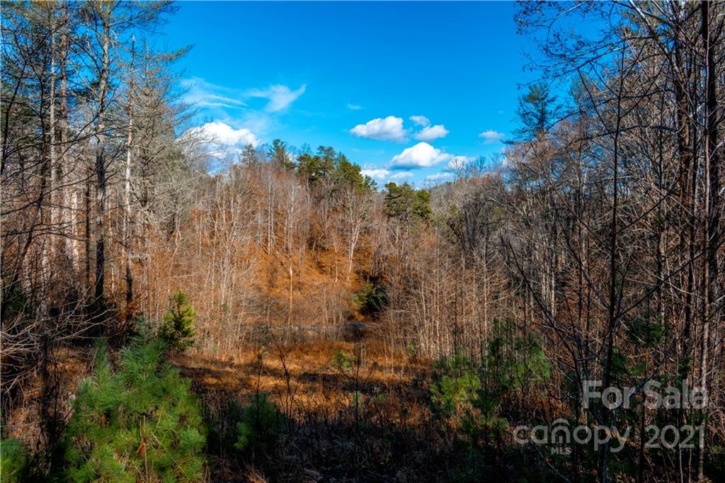 Property image 1 at 5 Acres Mearwild Drive, Marshall, NC 28753