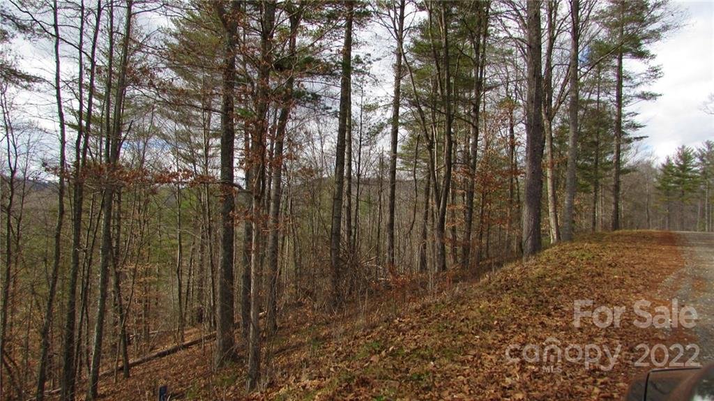 Property image 1 at 00 High Peak Drive, Burnsville, NC 28714