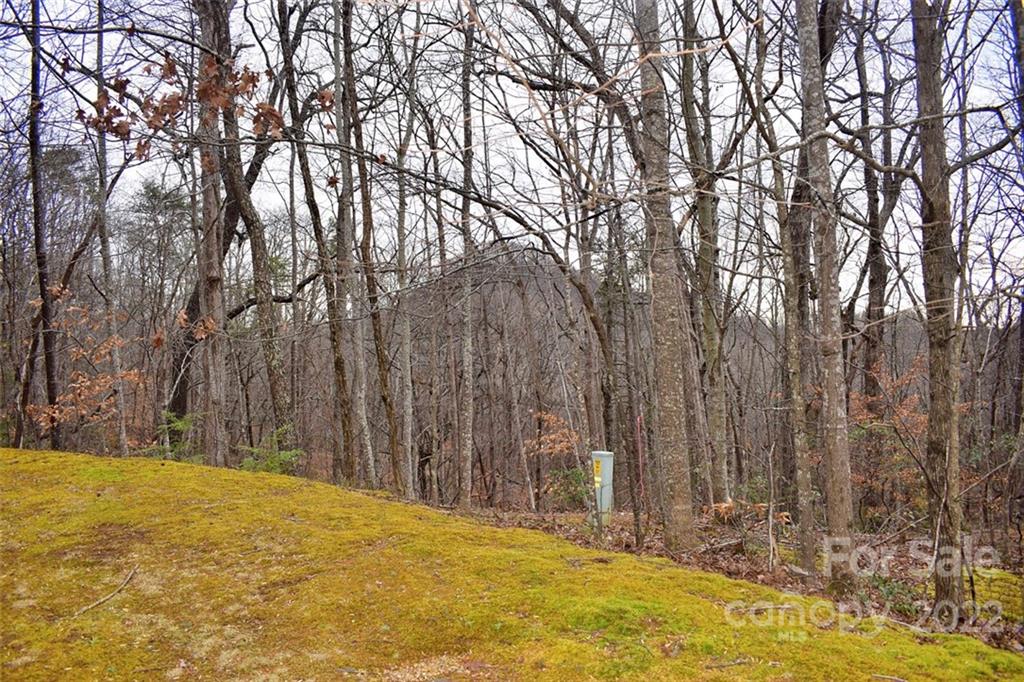 Property image 1 at 0 Hemlock Trail, Columbus, NC 28722