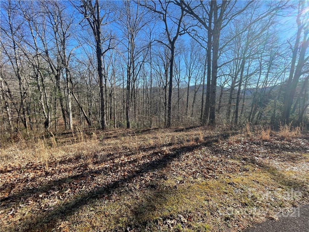 Property image 1 at 999 South Hampton Road, Brevard, NC 28712