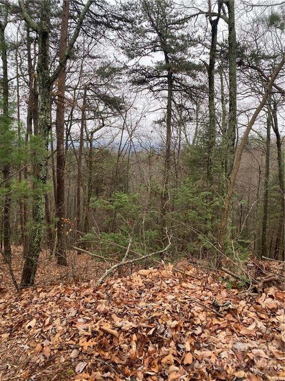 Property image 1 at 3209 Holly Road, Connelly Springs, NC 28612