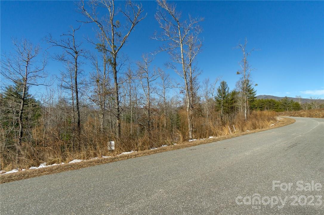 Property image 1 at V L Ridge Point Road, Nebo, NC 28761