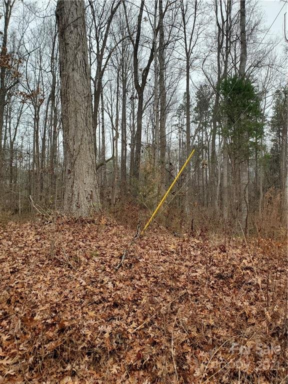 11301 N Hampton Drive