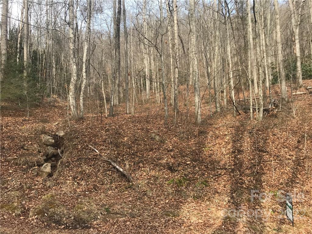 Property image 1 at 115 Sugar Maple Drive, Black Mountain, NC 28711