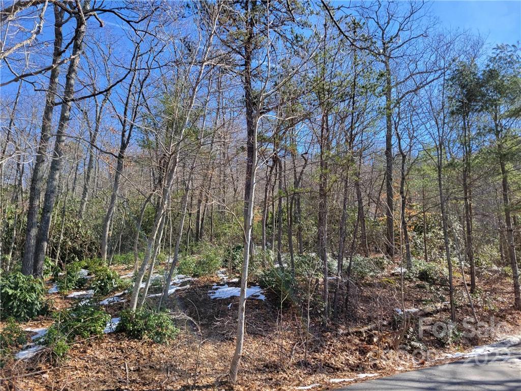 Property image 1 at 00000 Hunting Lodge Drive, Black Mountain, NC 28711