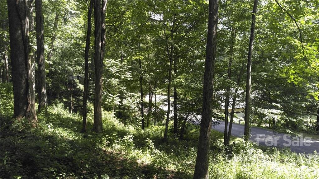 194 Blue Ridge Drive