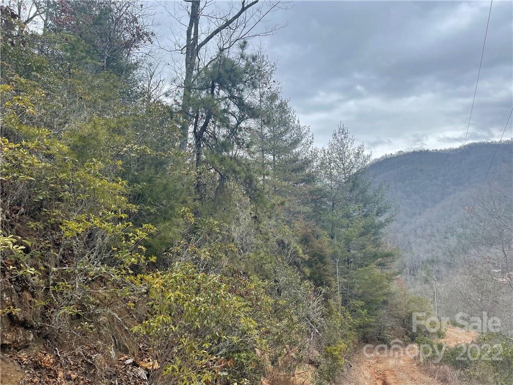 Property image 1 at 00 Brushy Fork Road, Sylva, NC 28779