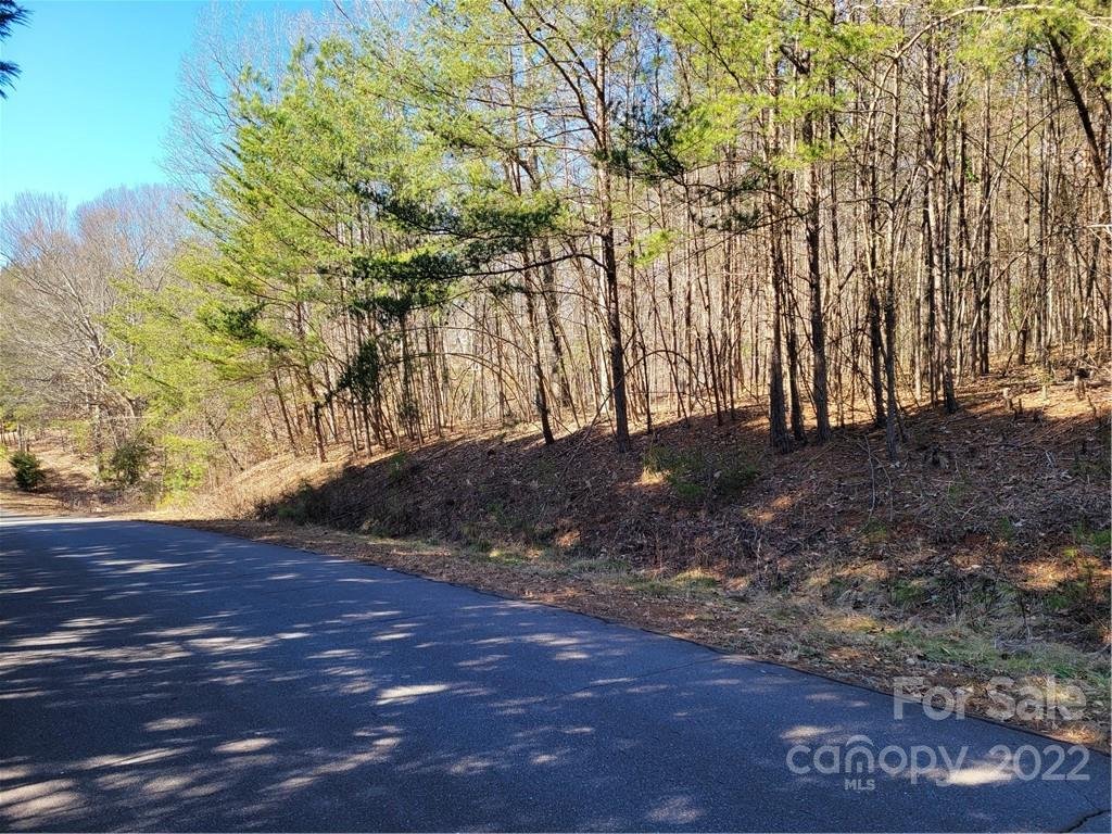 Property image 1 at 0 Aberdeen Farm Drive, Rutherfordton, NC 28139