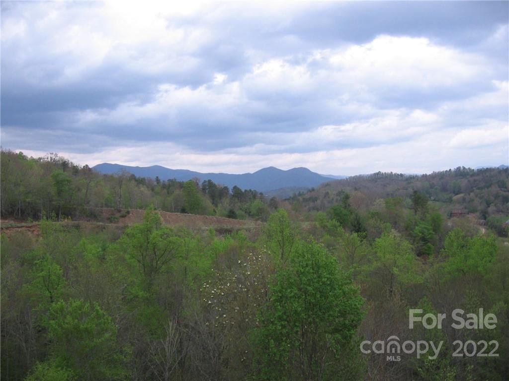 Property image 1 at 295 Sawgrass Drive, Whittier, NC 28789