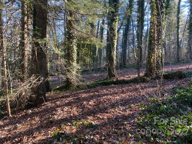 Property image 1 at Lot 72 Mary Place, Flat Rock, NC 28731