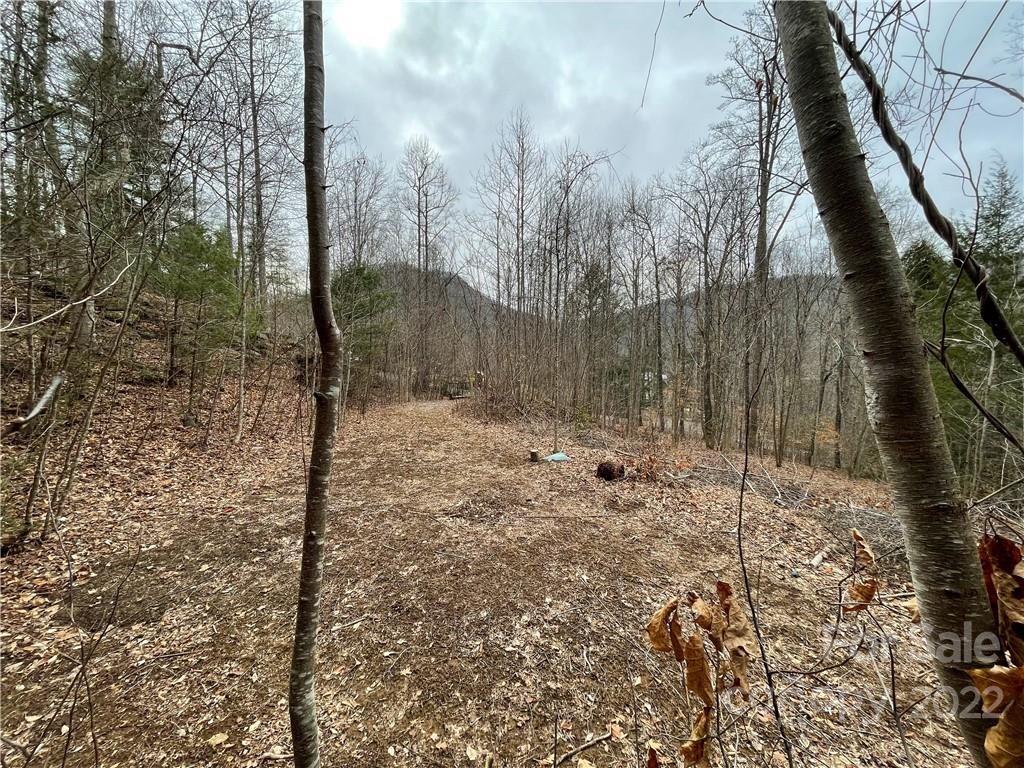 Property image 1 at 00000 Blue Rock Road, Hendersonville, NC 28792