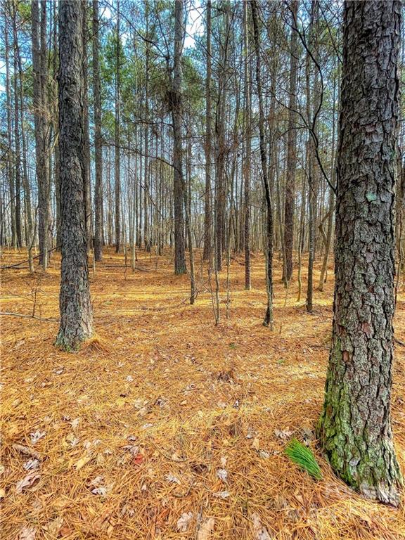 Property image 1 at 500 Cove Wood Drive, Denton, NC 27239