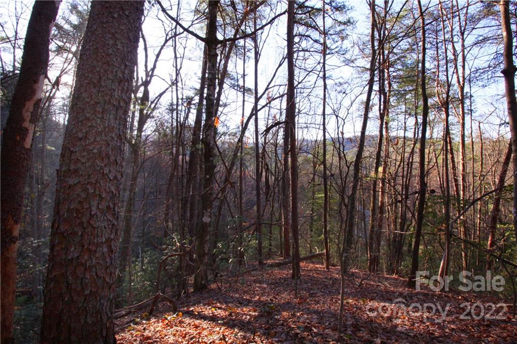 Property image 1 at Lot 49 Round Mountain Road, Brevard, NC 28712
