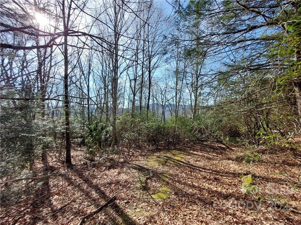 Property image 1 at 00 Rockridge Drive, Maggie Valley, NC 28751