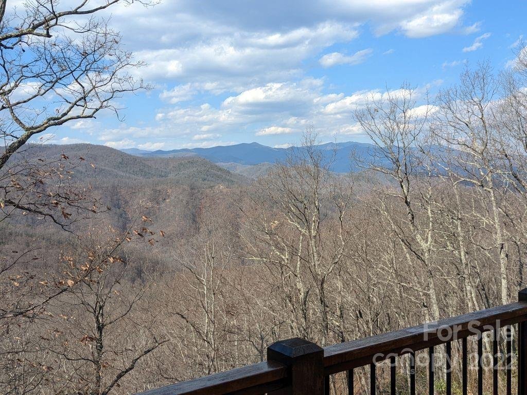 Property image 1 at 21 Ninebark Lane, Black Mountain, NC 28711