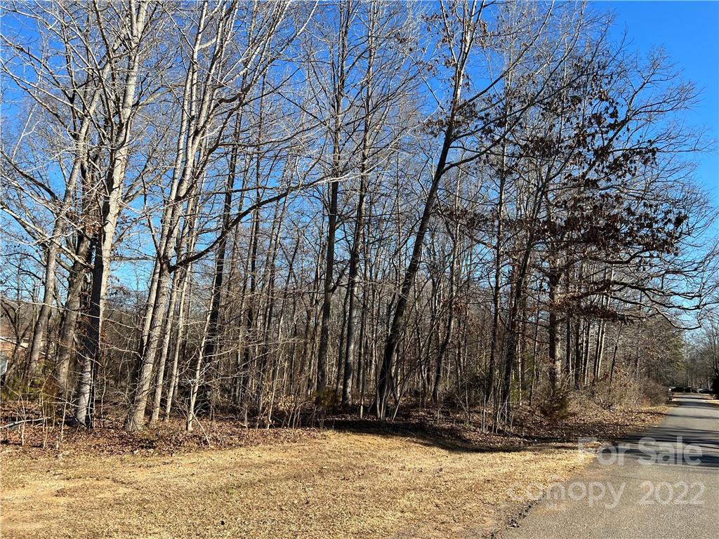 Property image 1 at 00 Eighth Street, York, SC 29745