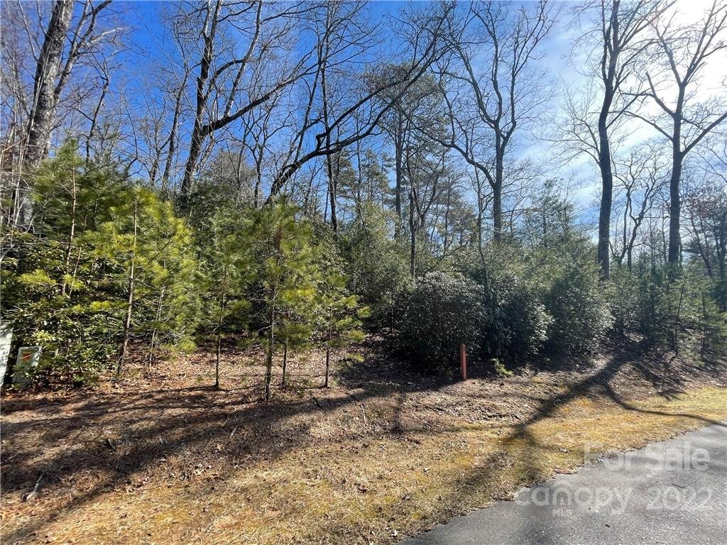 Property image 1 at Sh8 Springhouse Trail, Brevard, NC 28712