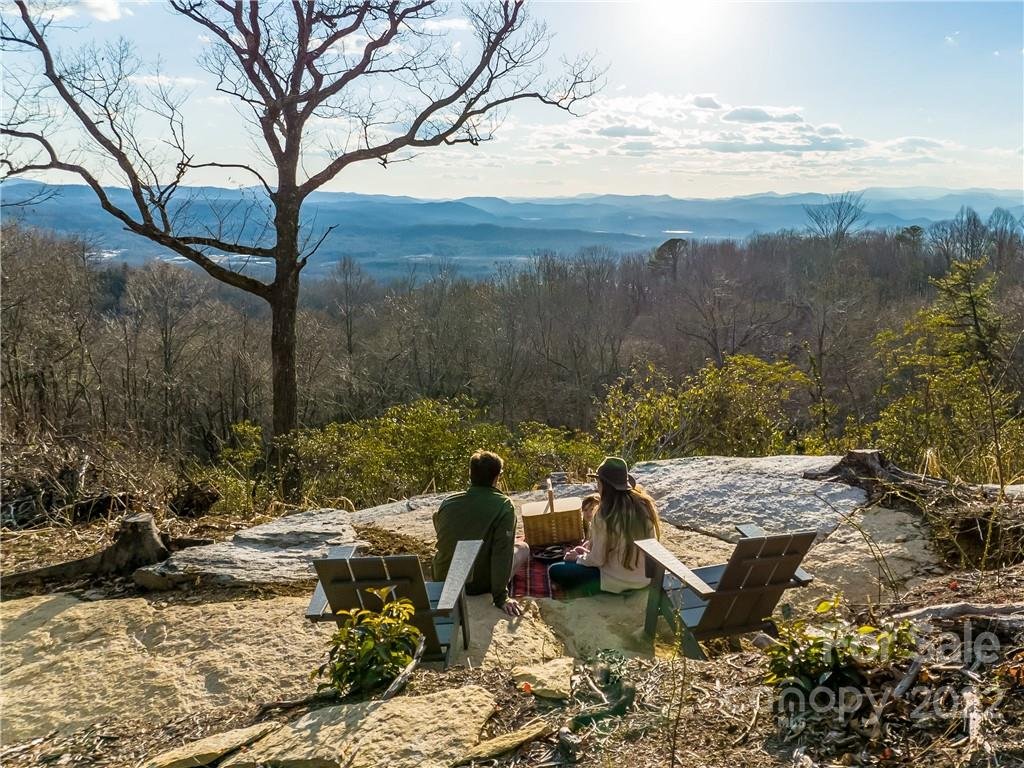 Property image 1 at 99999 Mountain Grove Lane, Fletcher, NC 28732