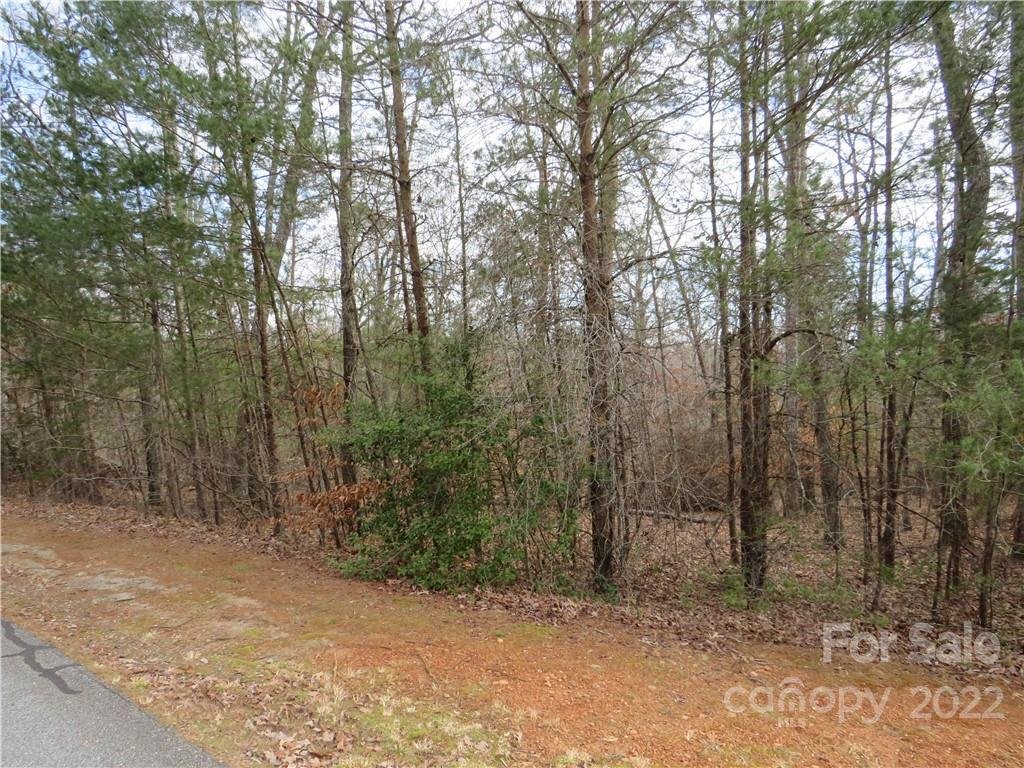 Property image 1 at 0 River Ridge Parkway, Rutherfordton, NC 28139