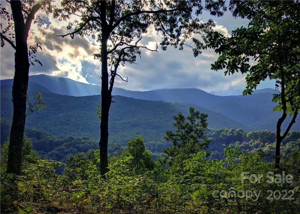 Property image 1 at 000 Cubs Drive, Burnsville, NC 28714