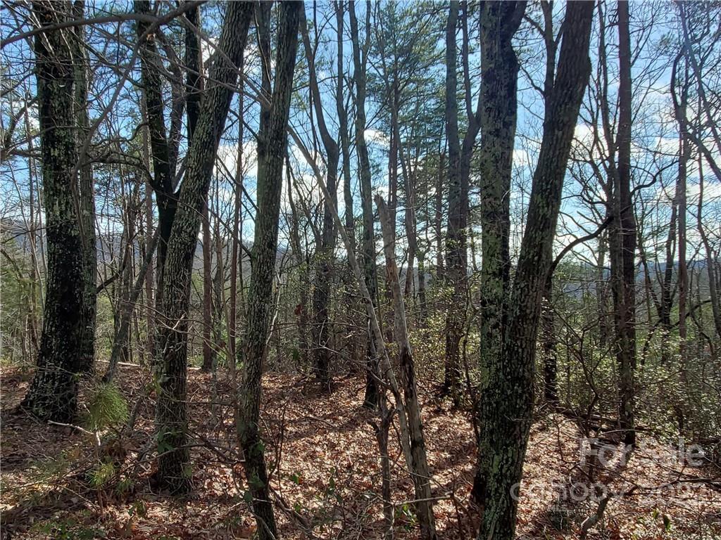 Property image 1 at Lot 86 Volley Way, Saluda, NC 28773