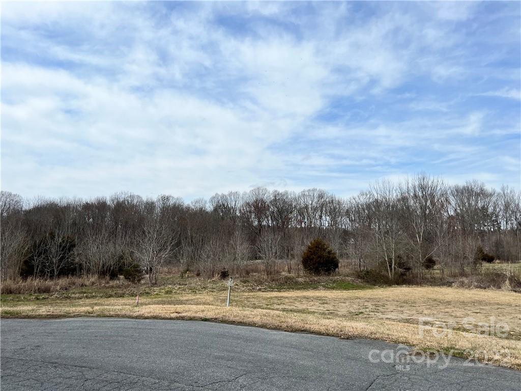 Property image 1 at 0 Molly Pop Lane, Monroe, NC 28112