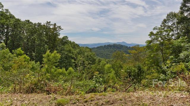 Property image 1 at 15 Sundown Drive, Asheville, NC 28803