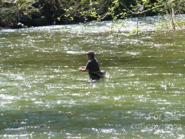 Property image 1 at 31 Caddis Court, Marshall, NC 28753