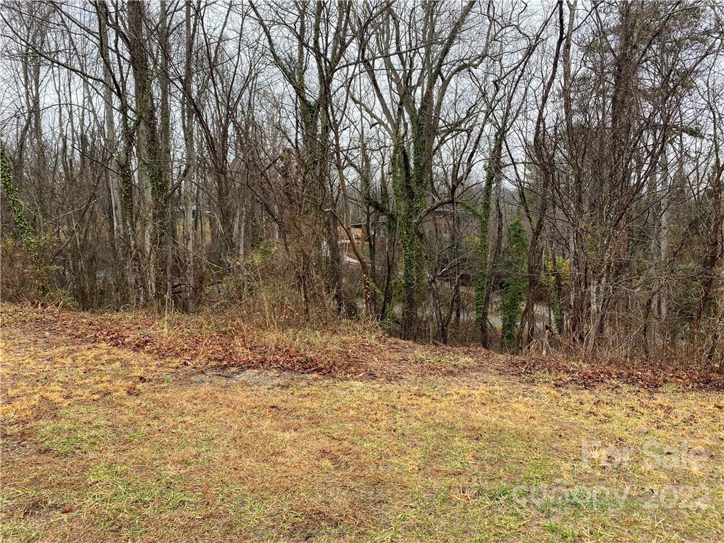 Property image 1 at 14 Snap Dragon Court, Asheville, NC 28804