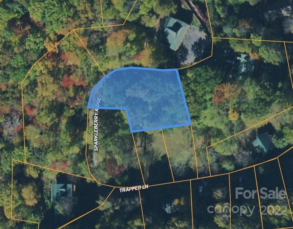 Property image 1 at 0 Sparkleberry Ridge, Waynesville, NC 28785