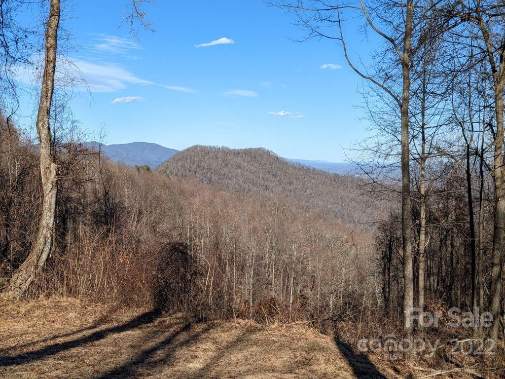 Property image 1 at T 17 67 Tanager Lane, Black Mountain, NC 28711