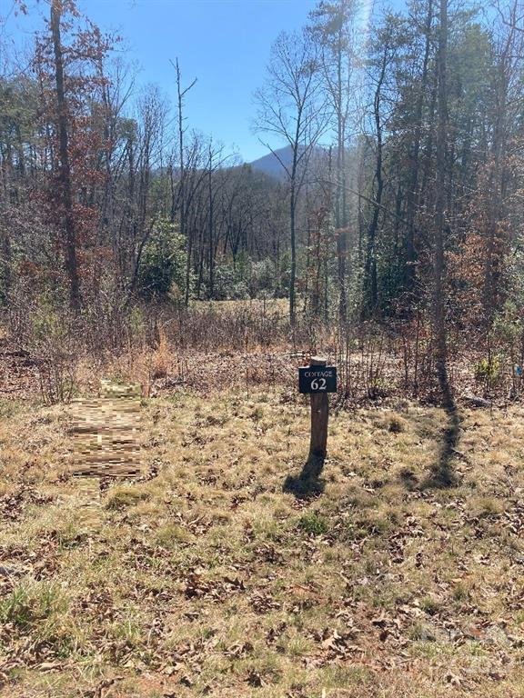 Property image 1 at 62 River Club Drive, Cullowhee, NC 28723