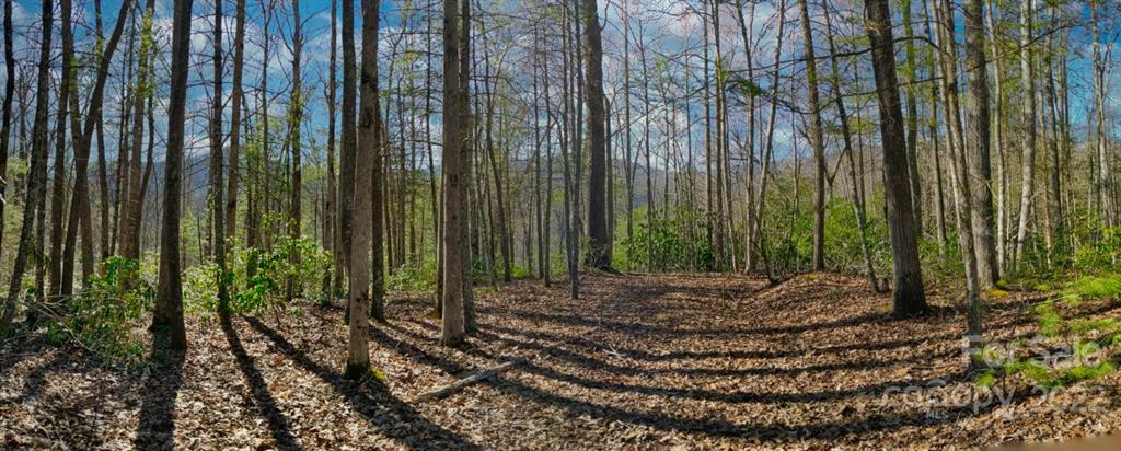 Property image 1 at 1156 Bear River Lodge Trail, Marshall, NC 28753