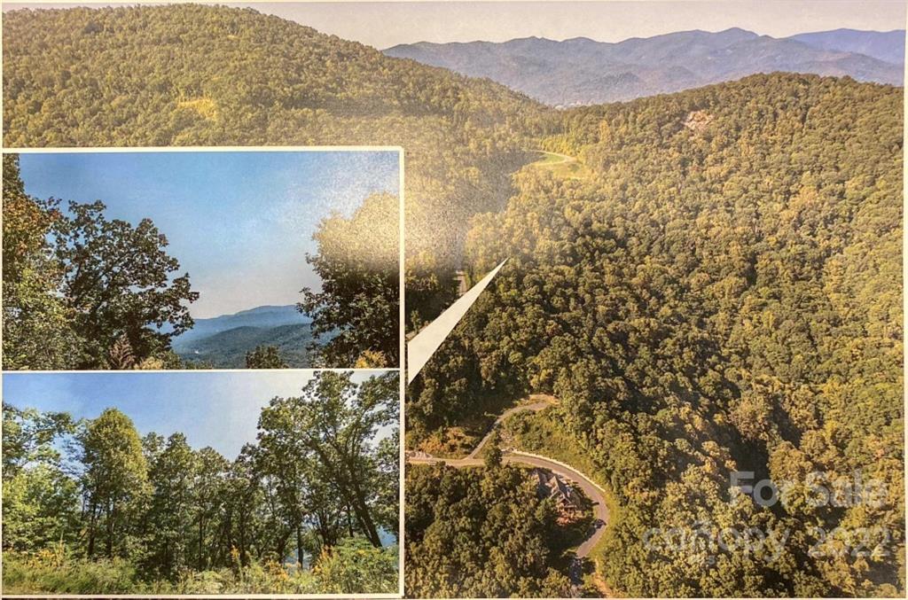 Property at 99999 Southcliff Parkway, Fairview, NC 28730