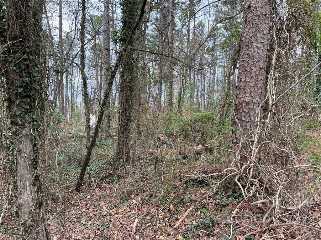 Property image 1 at 2832 Willow Street, Charlotte, NC 28208