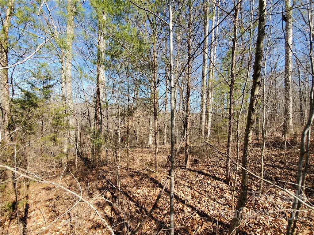 Property image 1 at 3118 Mountain Creek Drive, Sherrills Ford, NC 28673