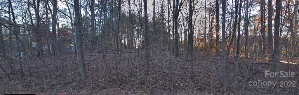 Property image 1 at 000 Laurel Grove Drive, Weddington, NC 28104