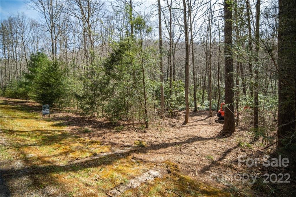 Property image 1 at 0 Steel Creek Road, Brevard, NC 28712