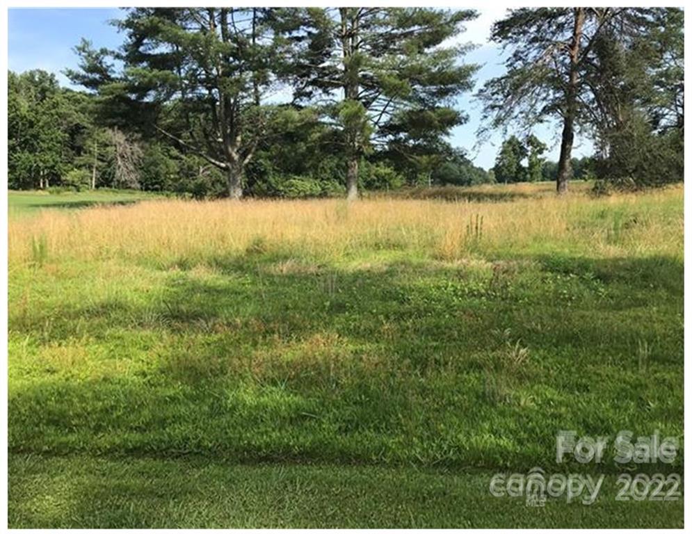 Property image 1 at 1521 Club Road, Tryon, NC 28782