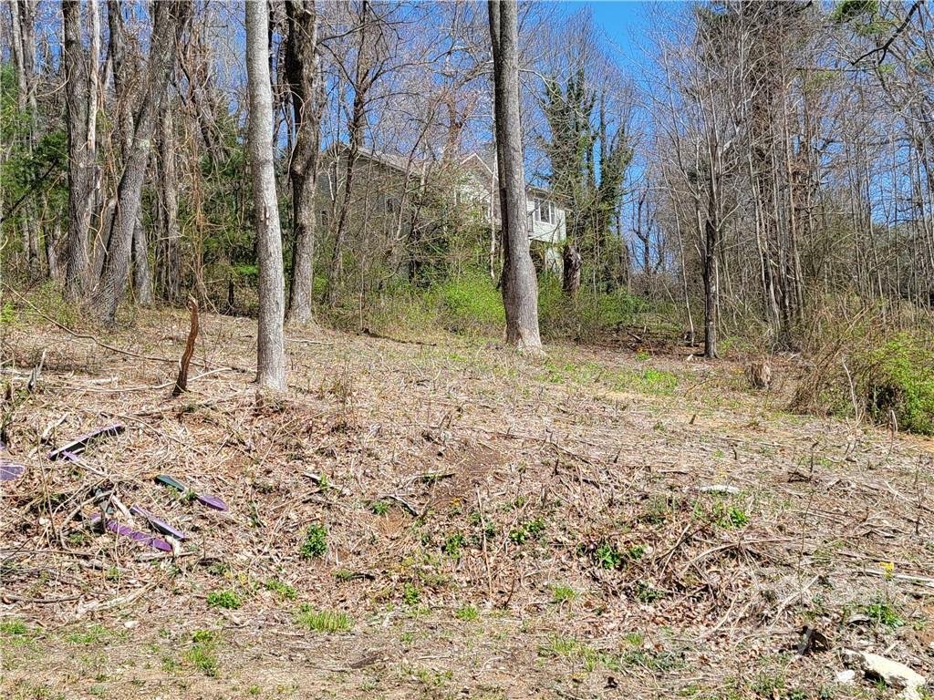 Property image 1 at 0000 Fawn Turn Lane, Hendersonville, NC 28739