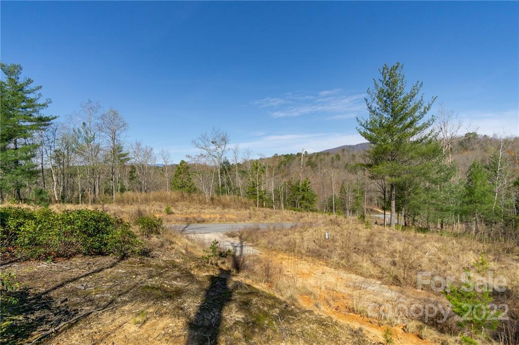 Property image 1 at V L Ridge Point Road, Nebo, NC 28761