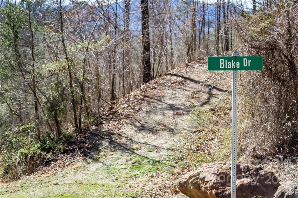 Property image 1 at Lot 1 Blake Drive, Canton, NC 28716