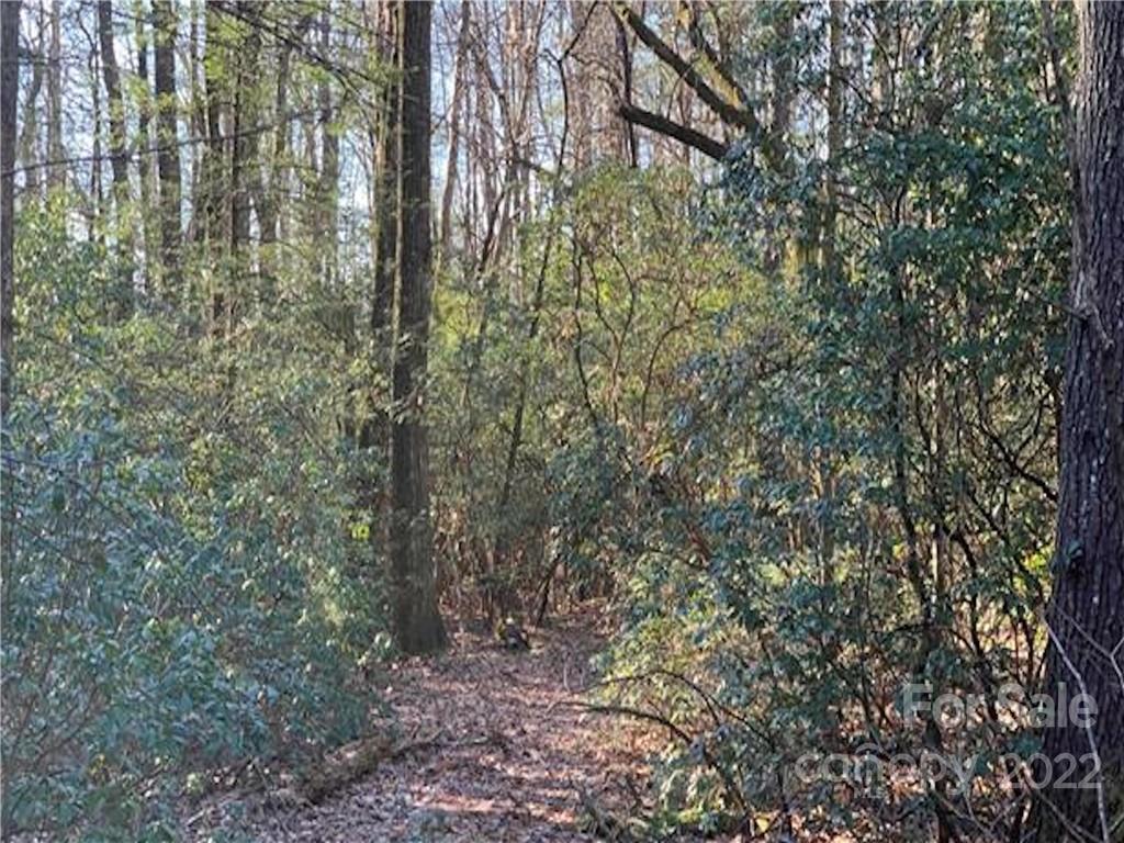 Property image 1 at L292 Walnut Ridge Circle, Brevard, NC 28712