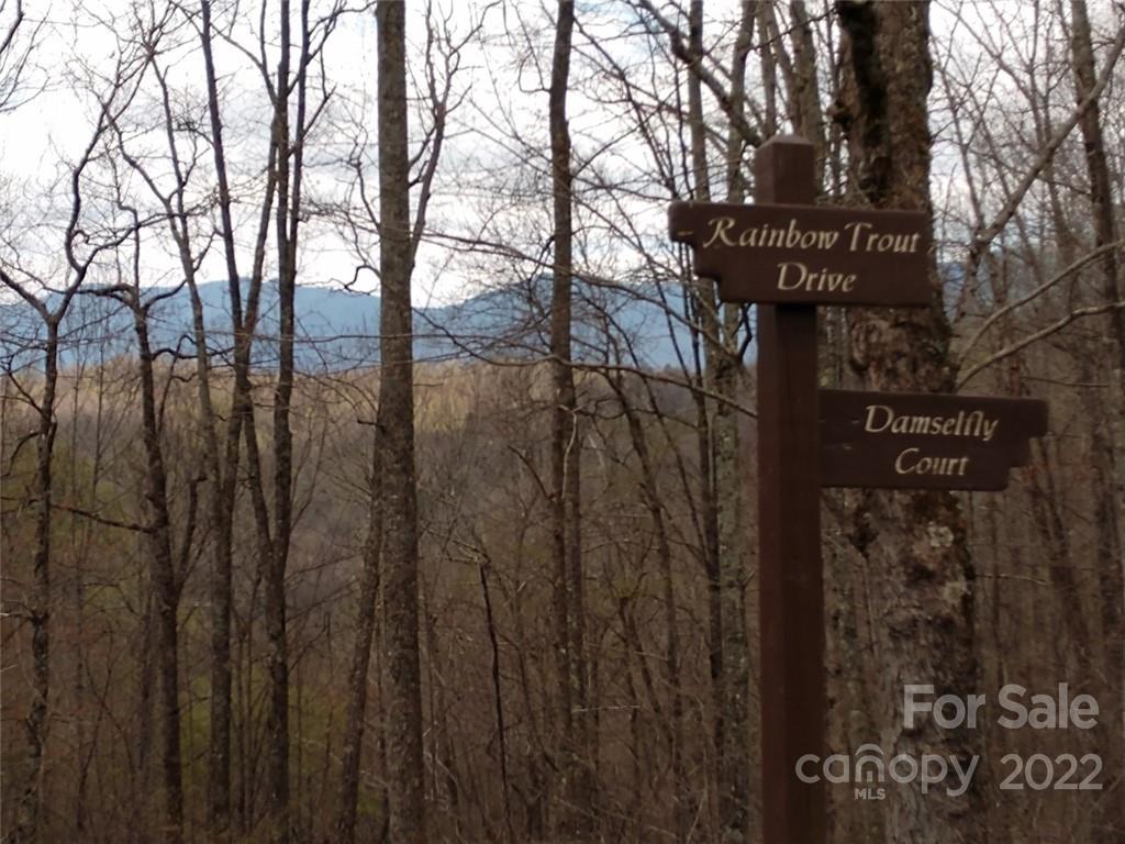 Property image 1 at 0000 Rainbow Trout Drive, Spruce Pine, NC 28777