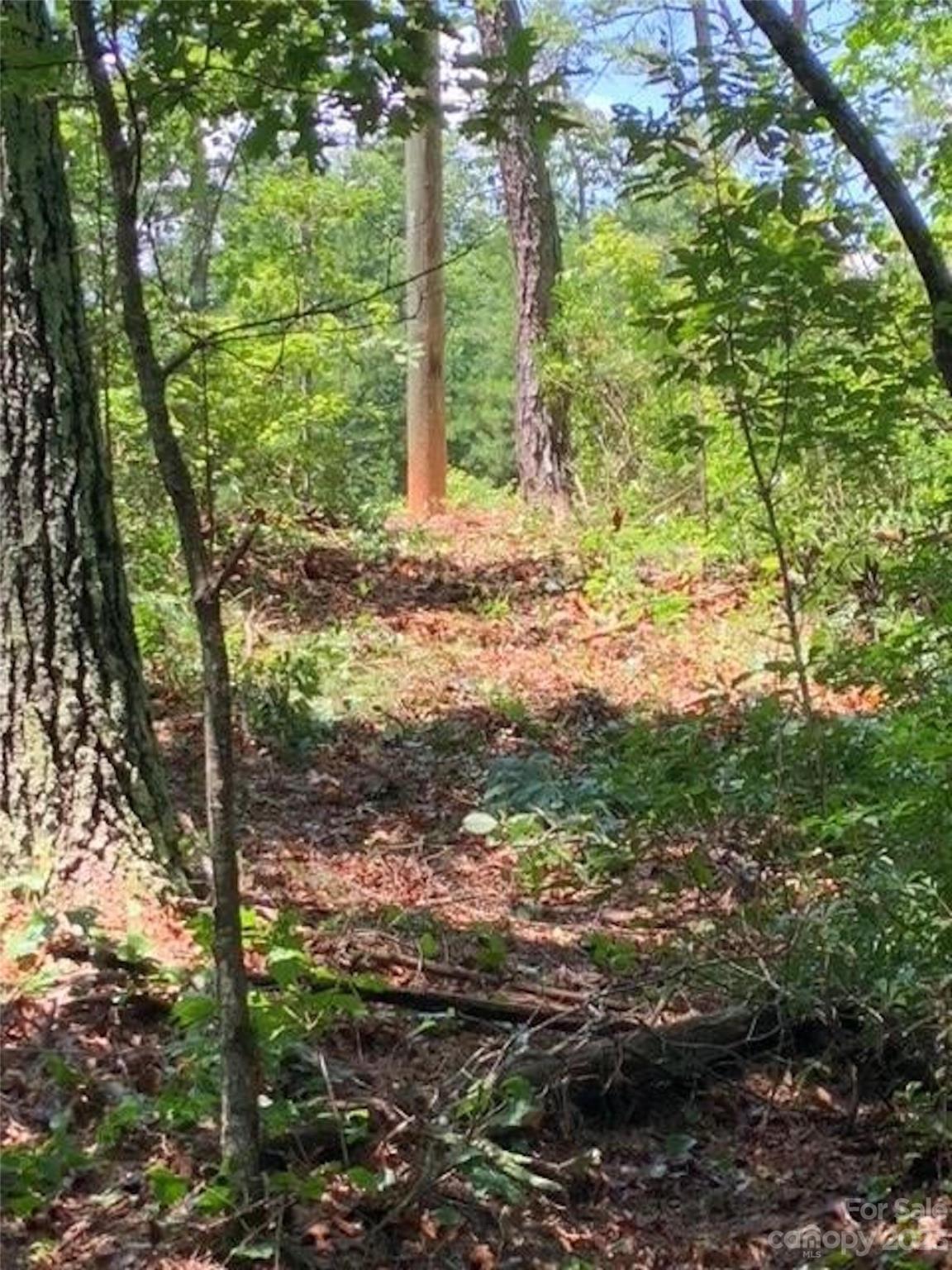 Property image 1 at 3 42 Acres Lot 1 John Wilson Lane, Collettsville, NC 28611