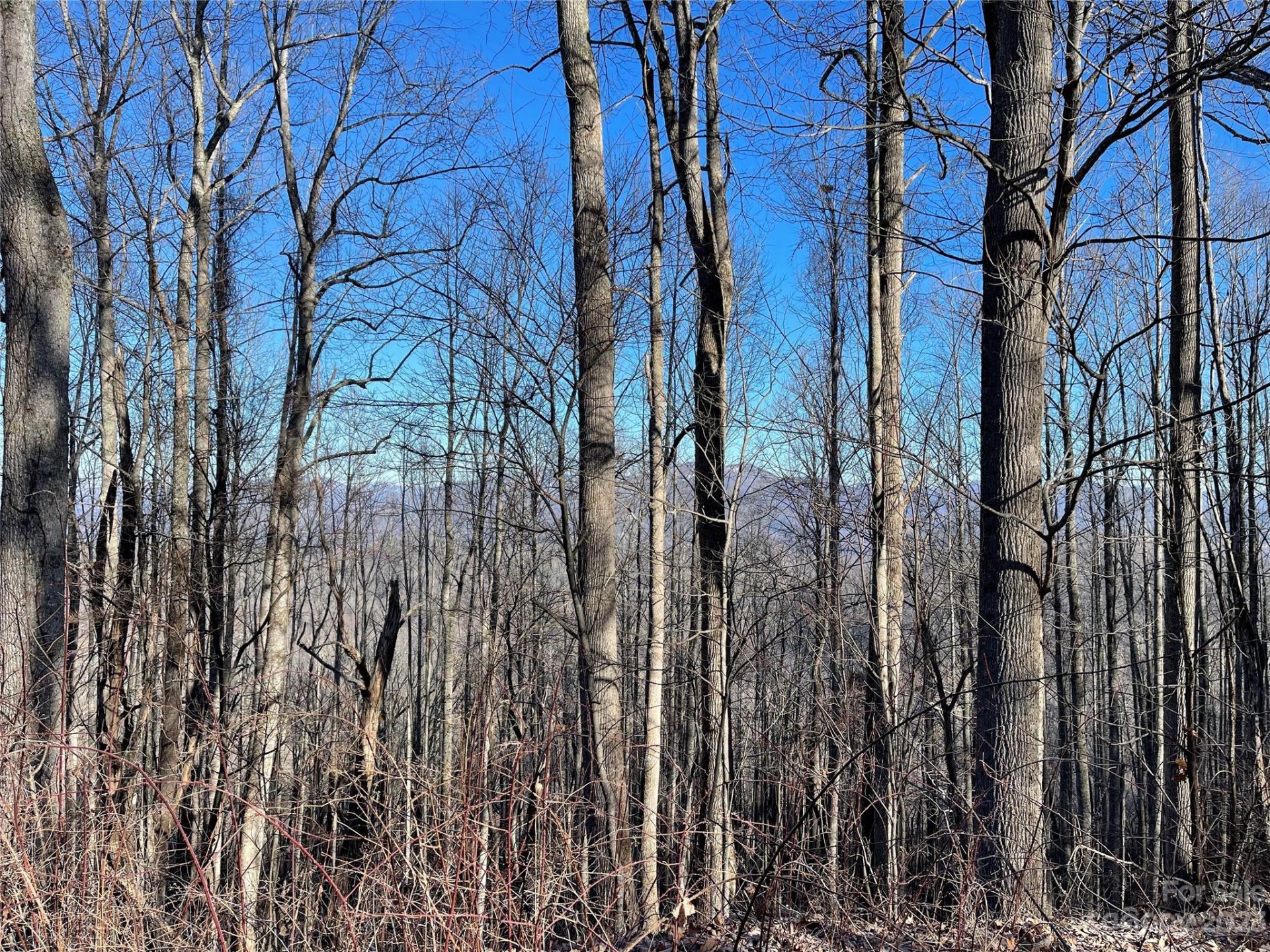 Property image 1 at Lot 13 Smokey Ridge Loop, Waynesville, NC 28786